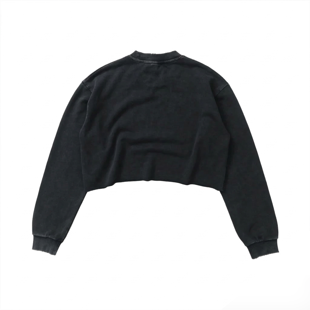 Cropped Sweatshirt (Washed Black)