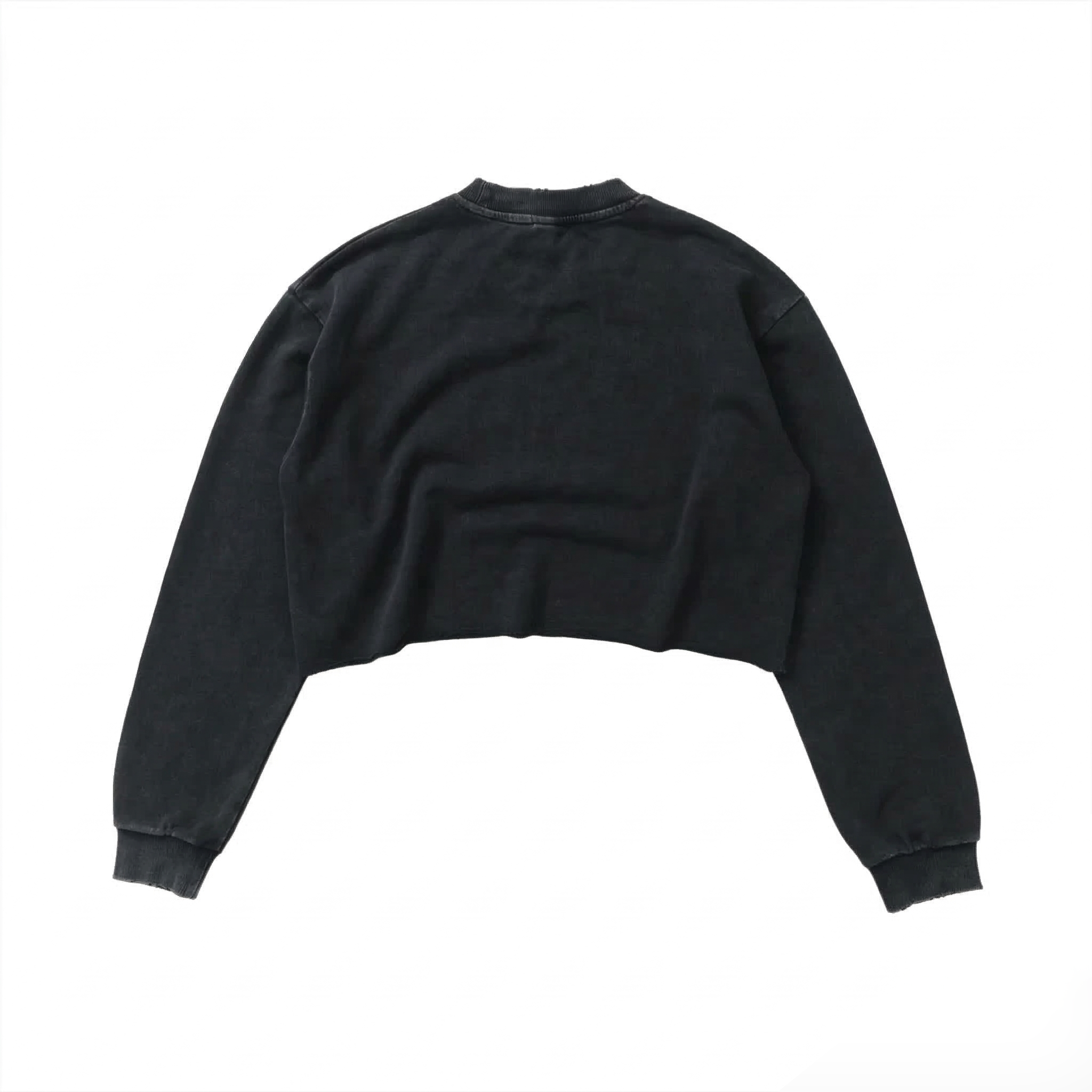 Cropped Sweatshirt (Washed Black)